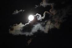 Description: D:\Photos\2010\2010-08-25\_MG_7364.JPG